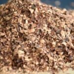CASHEW HUSK