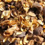 COFFEE HUSK
