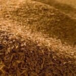 RICE HUSK