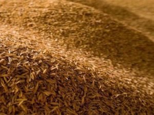 RICE HUSK